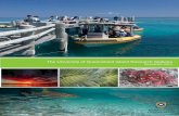 The University of Queensland Island Research Stations · 2014-12-18 · The University of Queensland Island Research Stations Newsletter 2013 CRICOS CODE 00025B. Newsletter 2013 Published