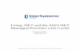 Using .NET and the ADO.NET Managed Provider with Caché · Using .NET and the ADO.NET Managed Provider with Caché 3 • If Caché has been installed with security le vel 2, open