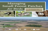Managing Small Forest Patches - obcinet.orgobcinet.org/uploaded_docs/OBCI_small_patch_guide_final_2020_web.pdf · face of ongoing landcover change, forest owners can make important