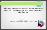 Pushing the Boundaries of SMB3: Status of the Linux Kernel ... Pushing the Boundaries of SMB3: Status