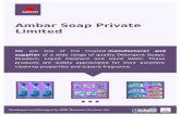 Untitled-1 [sme.in]sme.in/ambarsoap/brochure.pdf · Nature of Business Total Number of Employees Primary Competitive Advantage 2011 Manufacturer, Exporter, Supplier, Distributor,