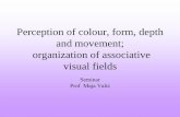 Perception of colour, form, depth and movement; …neuron.mefst.hr/docs/katedre/neuroznanost/katedra...Perception of colour, form, depth and movement • binding problem in the visual