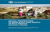 SOCIAL PROTECTION IN NEAR EAST AND NORTH AFRICA …SOCIAL PROTECTION IN NEAR EAST AND NORTH AFRICA REGION REGIONAL TRENDS Social Protection and Rural Development in the NENA Region