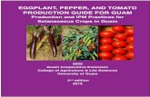 EGGPLANT, PEPPER, AND TOMATO PRODUCTION GUIDE FOR … · EGGPLANT, PEPPER, AND TOMATO PRODUCTION GUIDE FOR GUAM Production and IPM Practices for Solanaceous Crops in Guam 2002 ...