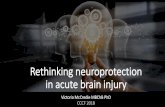Rethinking neuroprotection in acute brain injury...•Hypoglycemia •Intracranial hypertension •Fever. Identifying ICP targets Intracranial pressure thresholds Level IIB: • Treating