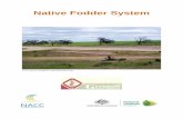 Native Fodder System - Northern Agricultural Catchments ... · term gain of utilising native plant species as fodder, both for land management and for sheep health. This trial will