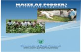MAIZE AS FODDER? - ICAR · 2017-02-01 · Maize as Fodder? An alternative approach 3 While the average milk production per cow per year for USA is around 9,000 kg, the figure stands