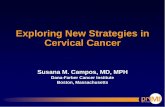 Exploring New Strategies in Cervical Cancer · OCP use (adenoca > SCCA) The human papillomavirus (HPV) Type 16 and 18 DNAs have been well characterized as causative agents for cervical