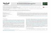 REVISTA BRASILEIRA DE Entomologia - SciELO · 2016-12-06 · 336 K.B. Barros-Cordeiro et al. / Revista Brasileira de Entomologia 60 (2016) 334–340 and 470 pupae of L. cuprina were