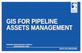 GIS For Pipeline Assets Management · 2019-03-20 · abu dhabi national oil companyadnoc gas processing gis for pipeline assets management speaker: banu prakash chitrala husam eddean