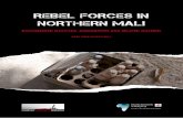 REBEL FORCES IN NORTHERN MALI - Small Arms Survey · 2013-04-19 · Conflict Armament Research/Small Arms Survey 4 Rebel Forces in Northern Mali: Documented Weapons, Ammunition, and