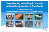 Strengthening networking to promote sustainable ... A NACA Strengthening networking to...Development of grouper hatchery technology International principles for sustainable shrimp