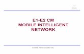 EE11--E2 CM E2 CM MOBILE INTELLIGENT NETWORKtraining.bsnl.co.in/digital_library_source/upgradation/E1... · 2019-03-15 · STP STP IP CCS7 for BSNL internal circulation only. Entities