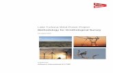 Lake Turkana Wind Power Project · 2013-12-30 · Lake Turkana Wind Project Methodology for Ornithological Survey August 2010 1 1 Introduction 1.1.1 The proposed Lake Turkana Wind