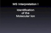 MS Interpretation I Identification of the Molecular Ionmslab.chem.umn.edu/class/lecture/1108_Molecular_Ion.pdf · Isotopic Abundance and Peaks • For nearly all elements, there are