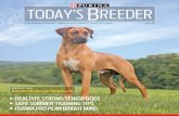 TODAY’S BREEDER · MASTERING SPOT-ON PUPPY TRAINING THE RIDGEBACKS OF KIMANI Alicia Hanna started on top by producing a National Specialty Best of Breed winner in her first litter.