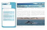 Communication is costly in Heaviside's dolphins Newsletter 221.pdfآ  11 Heavisideâ€™s dolphins are found
