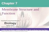 Membrane Structure and Functionnorthmedfordscience.weebly.com/uploads/1/2/7/1/12710245/07_lecture_presentation.pdfChapter 7 Membrane Structure and Function. Concept 7.1: Cellular membranes