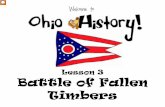 Battle of Fallen Timbers - Unity Corporation...The Battle of Fallen Timbers took place on August 20, 1794. It was the final battle between the Indians of the Northwest and \൴he United