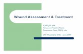 Wound Assessment & Treatment - sagelink.ca · 2014-06-12 · Wound Assessment Form Date Jan 13 Feb 10 Apr 4 Apr 18 May 2 Size (cm) 9 x 6 5 x 4.5 3 x 1.75 1 x 1.5 Closed Wound Base
