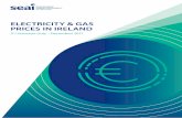 ELECTRICITY & GAS PRICES IN IRELAND · 2019-07-30 · ELECTRICITY & GAS PRICES IN IRELAND 2nd Semester (uly – December) 2017 2 Sustainable Energy Authority of Ireland SEAI is Ireland’s