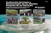 Evaluación del Daño y ENH1037 Restauración de los Árboles ...³n_del_daño.pdfde su cuerpo toca un conductor de energía (agua, herramientas, ramas de árboles, cercas de metal)