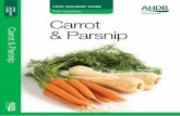 WALKERS’ E: hort.info@ahdb.org.uk Carrot & Parsnip · 2018-05-17 · 1.2 Carrot & Parsnip Crop Walkers’ Guide – Invertebrate Pests • Foliage may be damaged by feeding caterpillars,