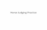 Horse Judging Practice · 2 Year Old Quarter Horse Geldings Placings: 1-2-4-3 Cuts: 3-3-2 Starting with the pair of nicer balanced, heavier muscled geldings and concluding