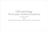 CNS pathology Third year medical students · CNS pathology Third year medical students Dr Heyam Awad 2018 Lecture 3: Nerve trauma, regeneration and neural tumours. ILOS ... • oligodendrocytes
