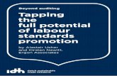 Beyond auditing Tapping the full potential of labour standards promotion · 2013-06-07 · strategy, with case studies of Ahold, Asda/Wal-Mart, and Carrefour. • Labour Standards