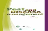 PEST AND DISEASE MANAGEMENT - vegetablesWA...disease management resources Identify some of the key vegetable pests and diseases in the South West Outline a range of integrated management