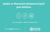 Plasmodium falciparum hrp2/3 gene deletions...Progress update WHO should promote a harmonized approach to investigating, surveying and reporting pfhrp2/3 gene deletions through the