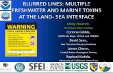 BLURRED LINES: MULTIPLE FRESHWATER AND MARINE …BLURRED LINES: MULTIPLE FRESHWATER AND MARINE TOXINS AT THE LAND -SEA INTERFACE Misty Peacock, Northwest Indian College Corinne Gibble,