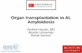 Organ transplantation in AL Amyloidosis...Median overall survival on dialysis Gertz et al. Arch Intern Med. 1992. Havasi A et al. Am J Hematol. 2016. Palladini G et al. Blood. 2014.