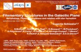 Filamentary Structures in the Galactic Plane...Filamentary Structures in the Galactic Plane Morphology, Physical conditions and relation with star formation Eugenio Schisano 1,2 S.Molinari