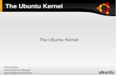 The Ubuntu Kernel - Canonicalpgraner/talks/SELF-09/SELF...Ubuntu Kernel Differences Very small delta from Linus' tree Differences are referred to as “Sauce” patches. Differences