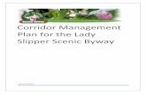 Corridor Management Plan for the Scenic Highway Scenic …Corridor Management Plan for the Lady Slipper Scenic Byway 3/12/2015 . 1 Introduction The Lady Slipper Scenic Byway is located