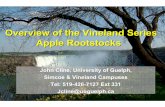 Overview of the Vineland Series Apple Rootstocks · 2018-09-05 · Overview of the Vineland Series Apple Rootstocks John Cline, University of Guelph, Simcoe & Vineland Campuses Tel:
