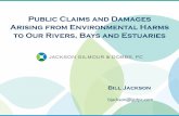 Public Claims and Damages Arising from Environmental Harms … Law... · 2014-09-05 · Public Claims and Damages . Arising from Environmental Harms . to Our Rivers, Bays and Estuaries