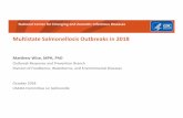 Multistate Salmonellosis Outbreaks in 2018 Multistate Salmonellosis Outbreaks in 2018 Matthew Wise,