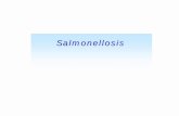 Salmonellosis - Chula · Salmonellosis outbreak study!Epidemiological investigation!to assess potential risk factors for infection!the department of health conducted a case-control
