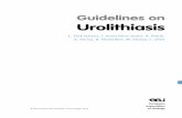 Guidelines on Urolithiasis - European Association of Urology · 2015-08-12 · 6 UROLITHIASIS - LIMITED UPDATE MARCH 2015 1. INTRODUCTION 1.1 Aims and scope The European Association