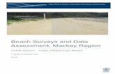 Beach Surveys and Data Assessment, Mackay Region · COPE Report – Cape Hillsborough Beach Coastal Impacts Unit 2015 . Department of Science, Information Technology and Innovation