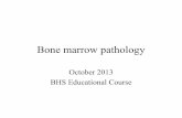 Bone marrow pathology · • Bone marrow manifestations of infections and systemic diseases observed in the bone marrow trephine biopsy. Diebold, Molina, Camilleri-Broët et al. Histopathology