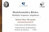 Bioinformática Básica · Bioinformática Básica Multiple Sequence alignment Rafael Dias Mesquita rdmesquita@iq.ufrj.br Laboratório de Bioinformática Departamento de Bioquímica