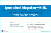 Spreadsheet integration with EBS - mous.us EBS data management... · Spreadsheet integration with EBS Oracle E-Business Suite data management efficiency. A comparison of the most