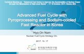 Advanced Fuel Cycle with Pyroprocessing and Sodium-cooled ... · Advanced Fuel Cycle with Pyroprocessing and Sodium-cooled Fast Reactor in Korea Hyo On Nam Nuclear Fuel Cycle Strategy