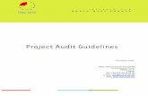 Project Audit Guidelines Nov 2003 - 3b.nweurope.eu3b.nweurope.eu/upload/documents/programme/853... · project audits and as a basis on which project auditors can complete their tasks.