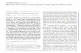 Mutational and functional analysis of Large in a novel CHO ...glycobiology/GlycoOMancc20311.pdf · Mutational and functional analysis of Large in a novel CHO glycosylation mutant