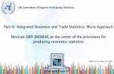 Part IV: Integrated Business and Trade Statistics: Micro Approach … · 2018-06-11 · Part IV: Integrated Business and Trade Statistics: Micro Approach. Mexican SBR (RENEM) as the